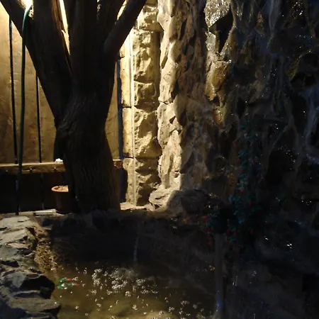 Casa Tony Si Alex Πανσιόν