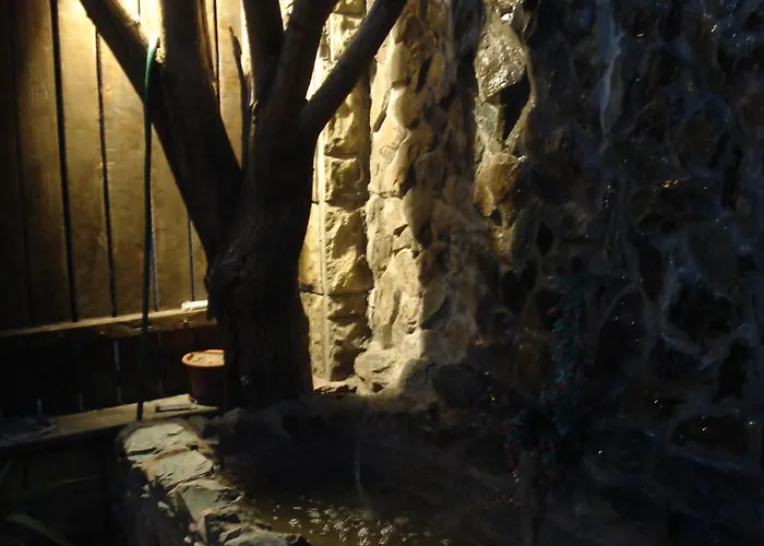 Vendégház Casa Tony Si Alex *