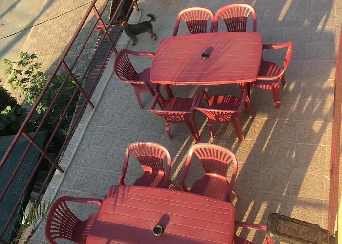 Casa Tony Si Alex Vendégház *