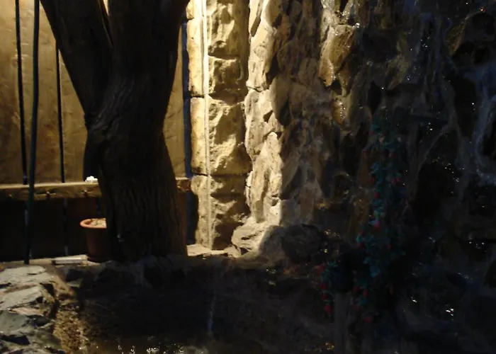 Casa Tony Si Alex ゲストハウス